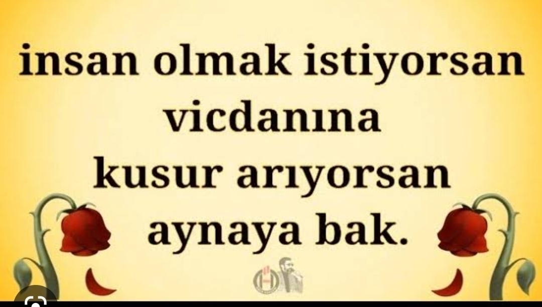 Binnaz