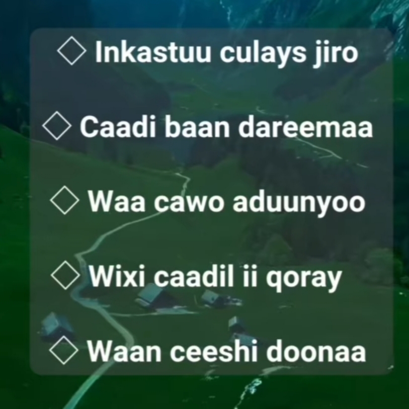 Quinafi