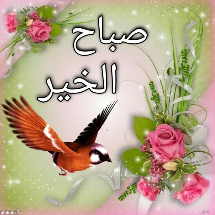 Nour