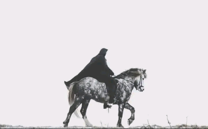 زبیع