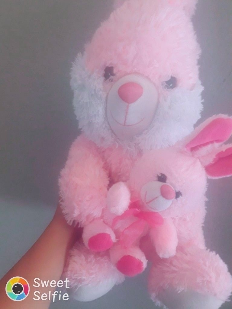 Dilber