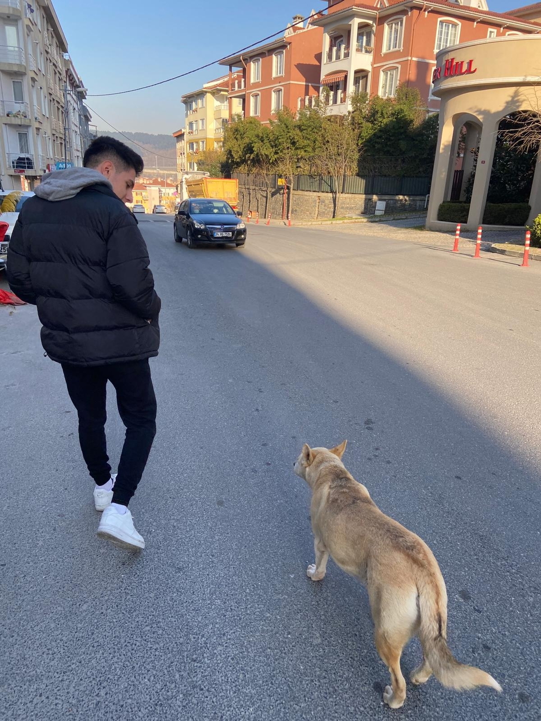 Metehan