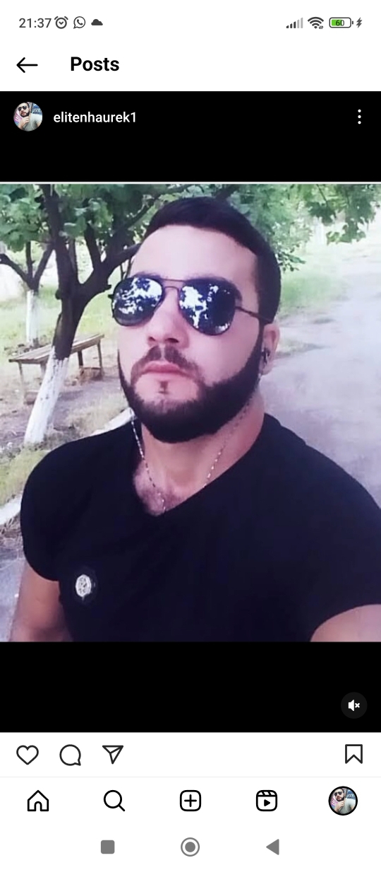 Şahin