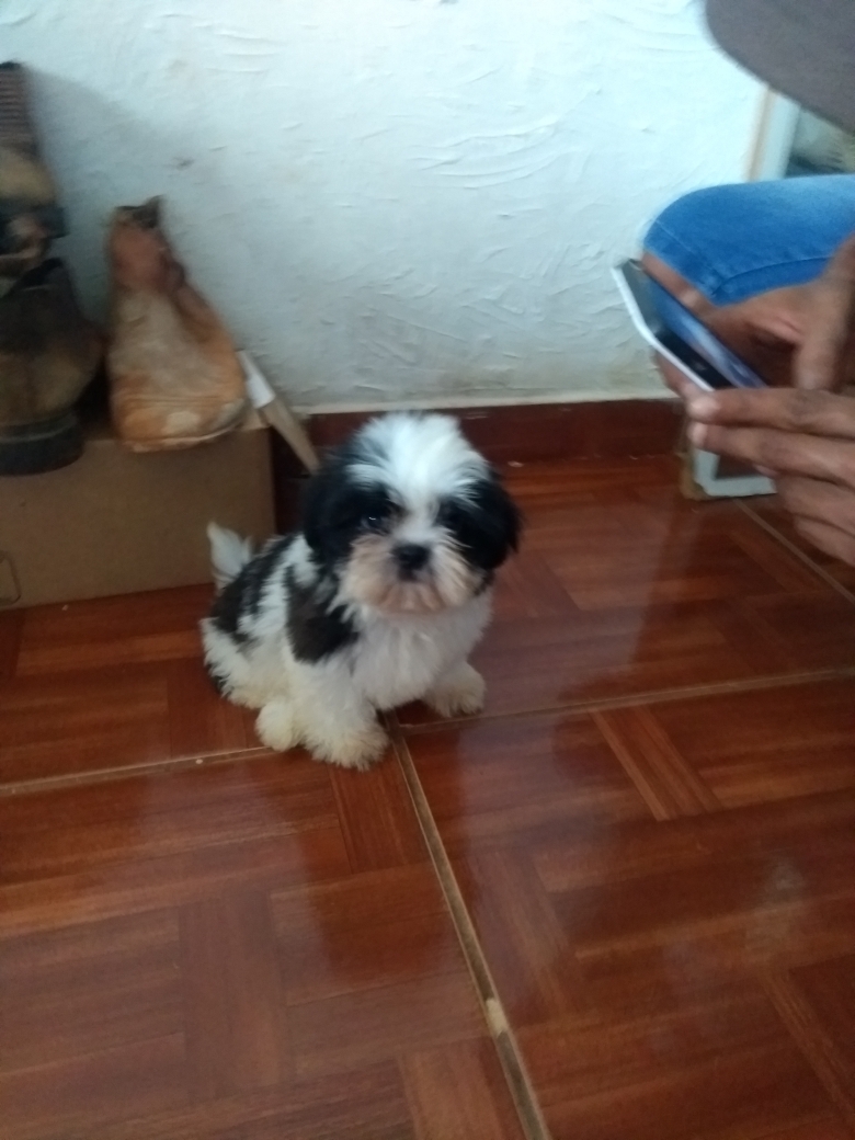 João