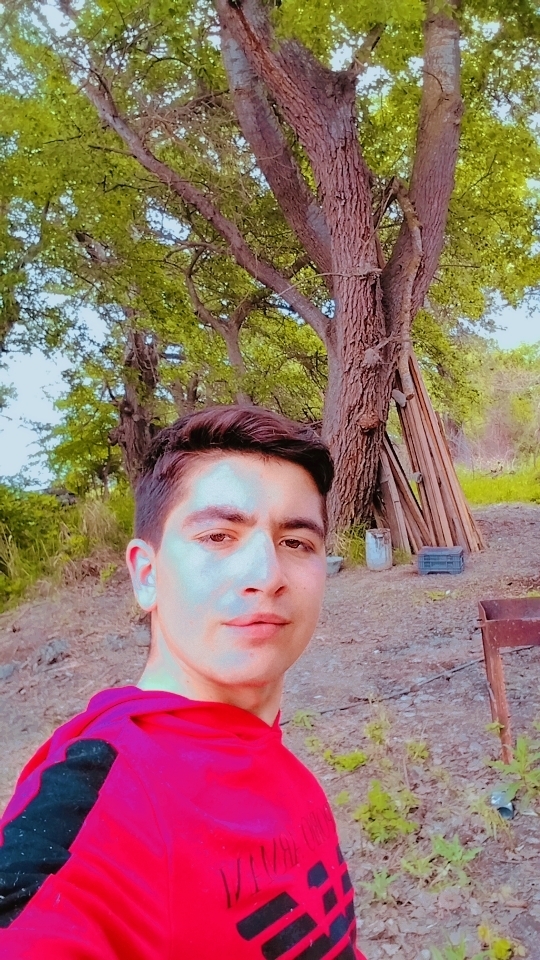 Fuad