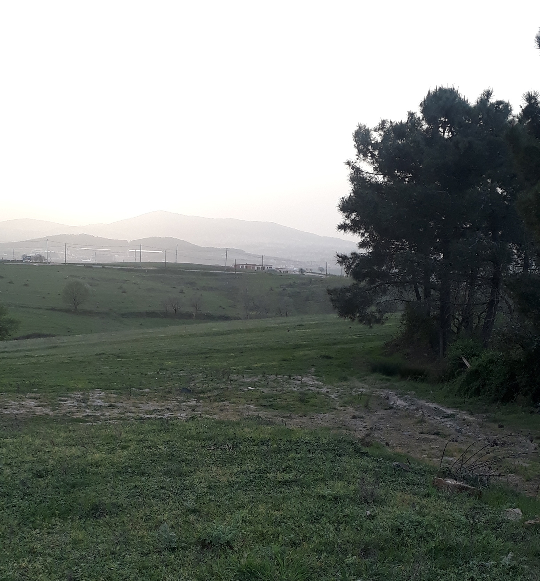 Hasret