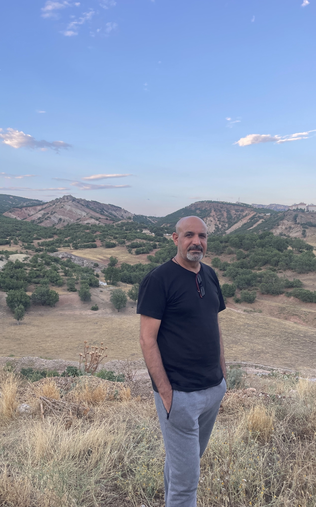 Vedat