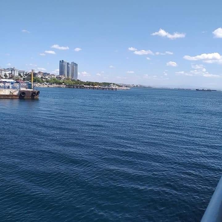 Yaşar