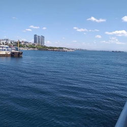 Yaşar