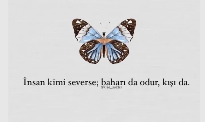 Bahar
