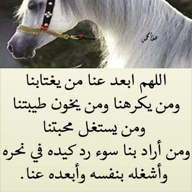ابو