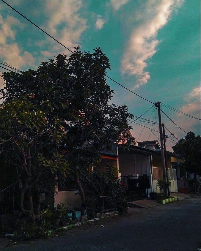 ecenur2345