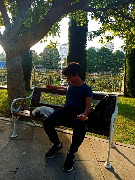 Samet