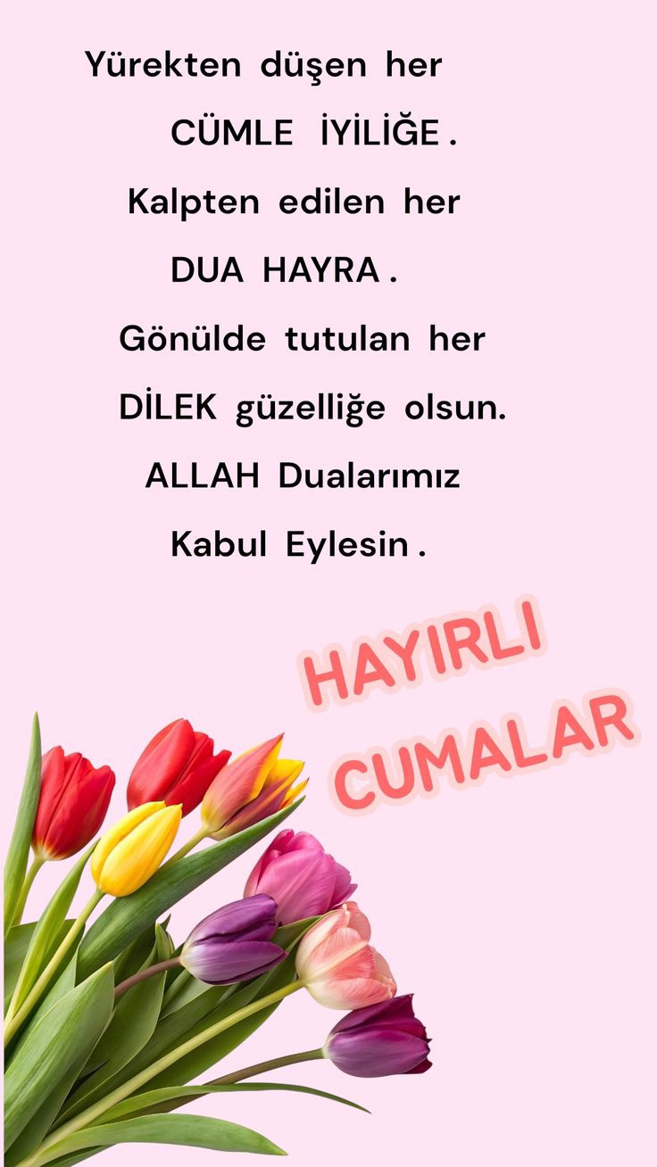 Leyla