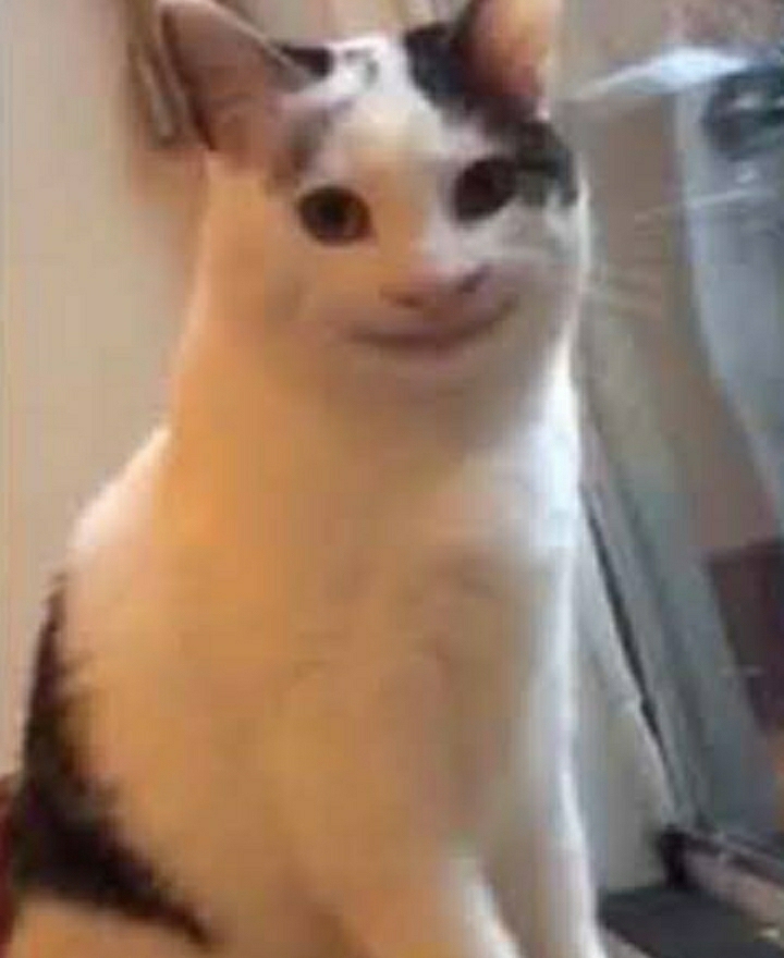 Eoni