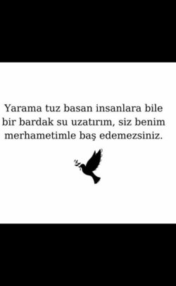 Ipek