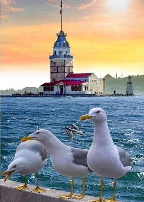 Mehmet