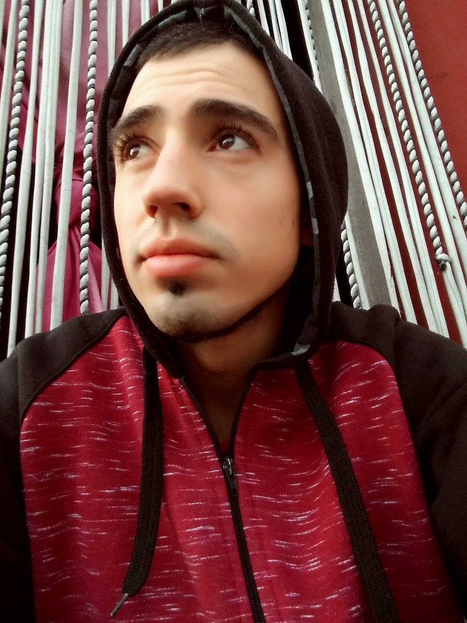 Luis