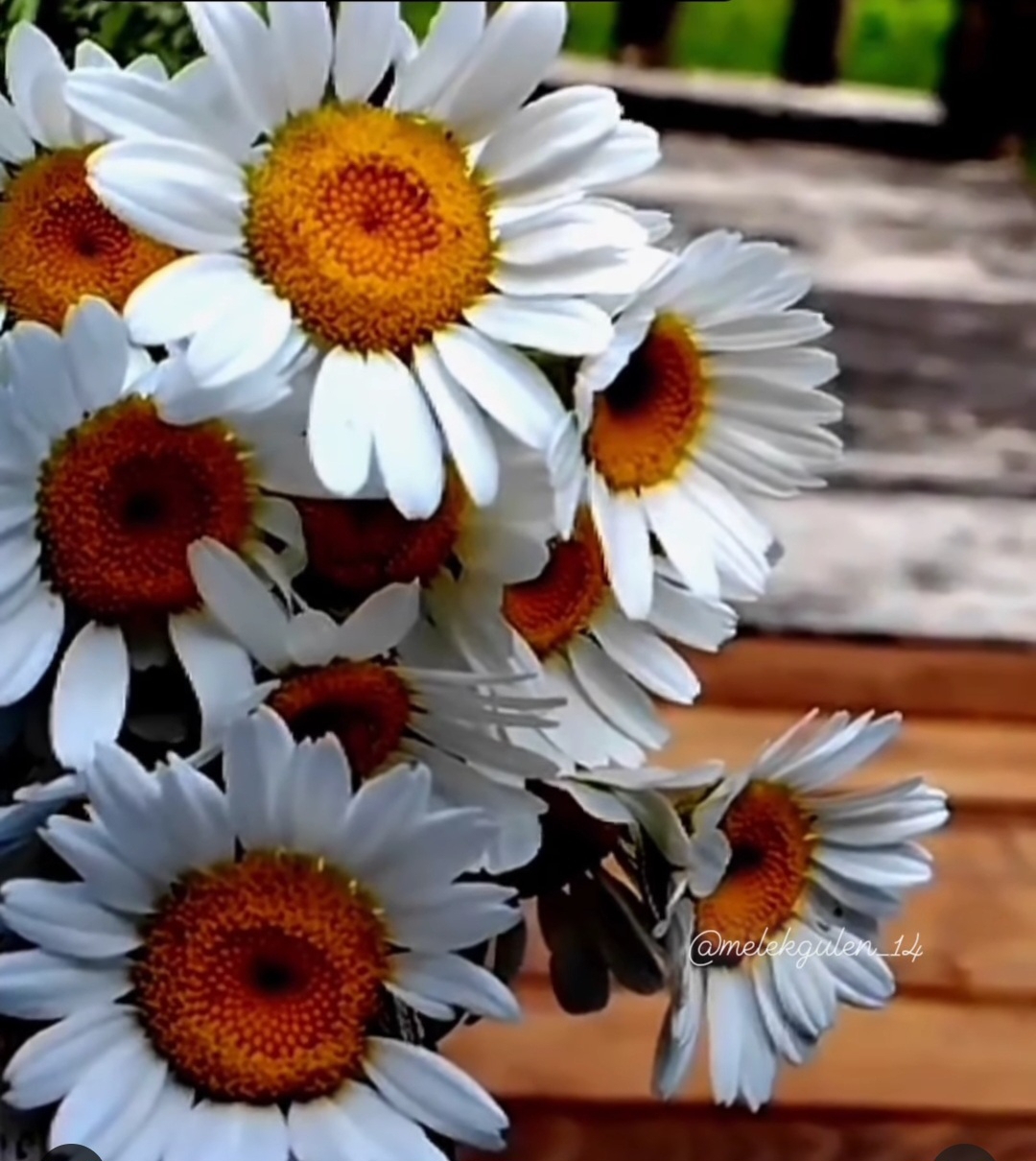 Hacer