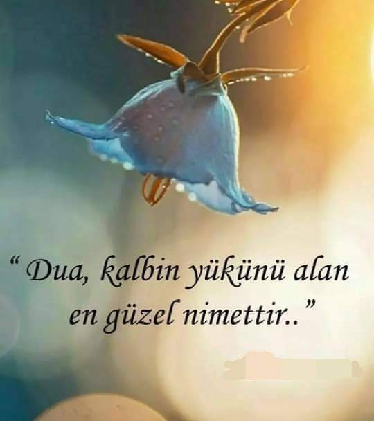 Gizem