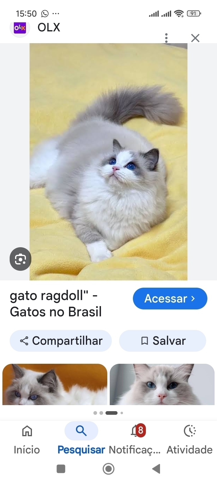 Souza