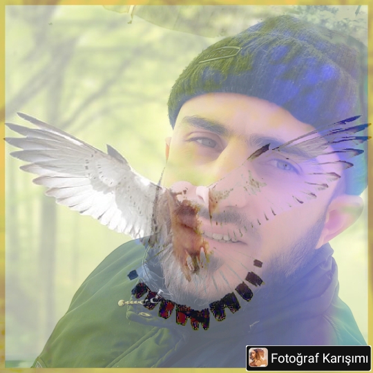 Mehmet