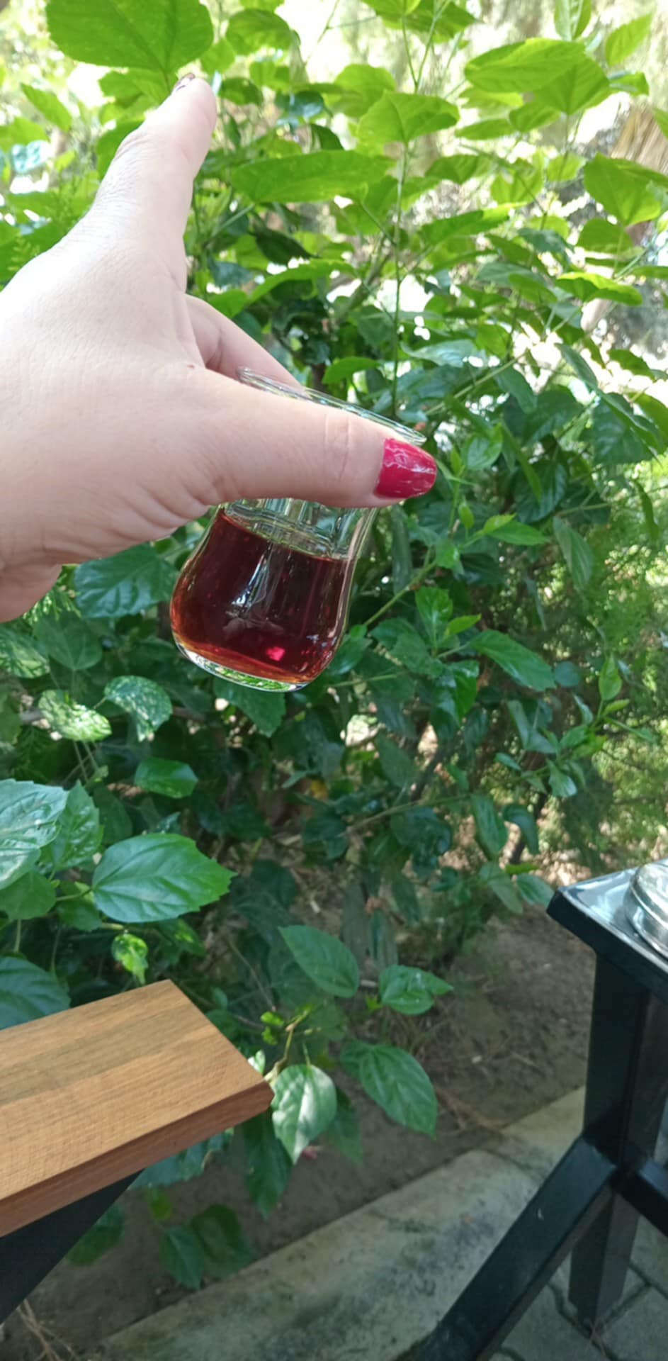 Ceylan