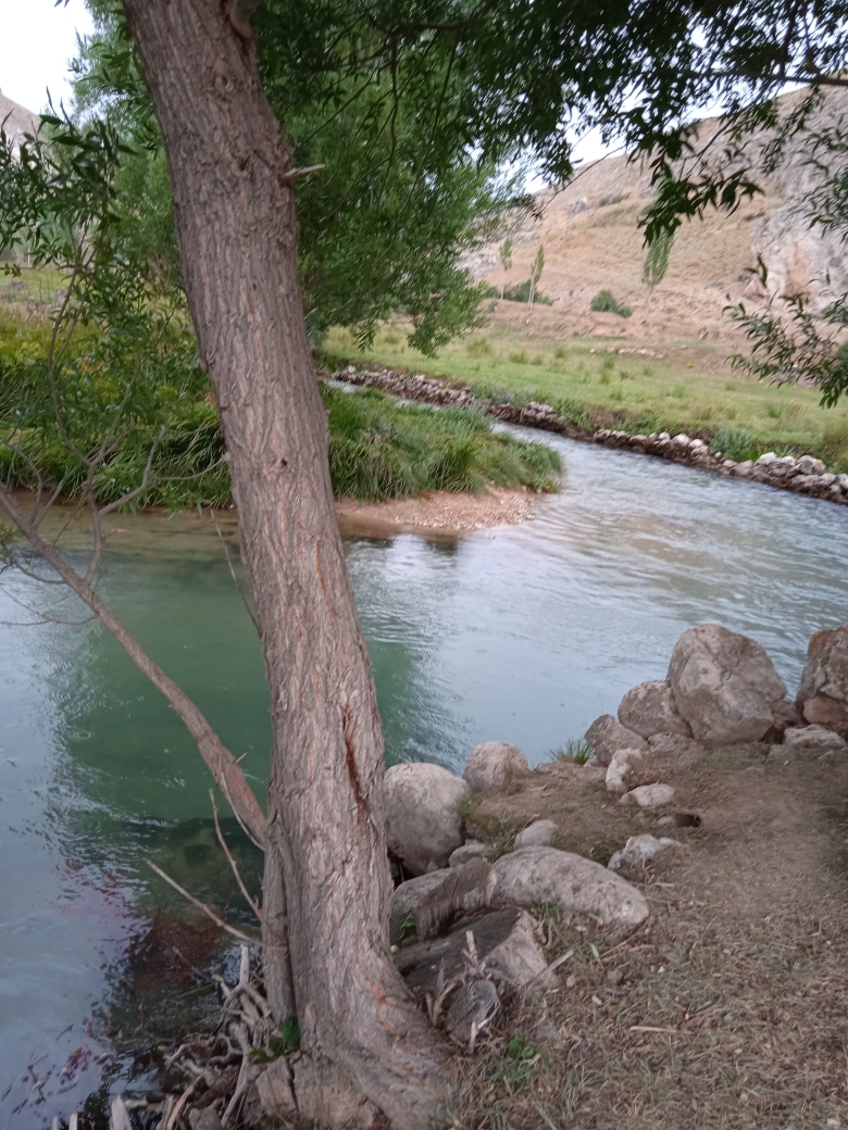 Nilgun