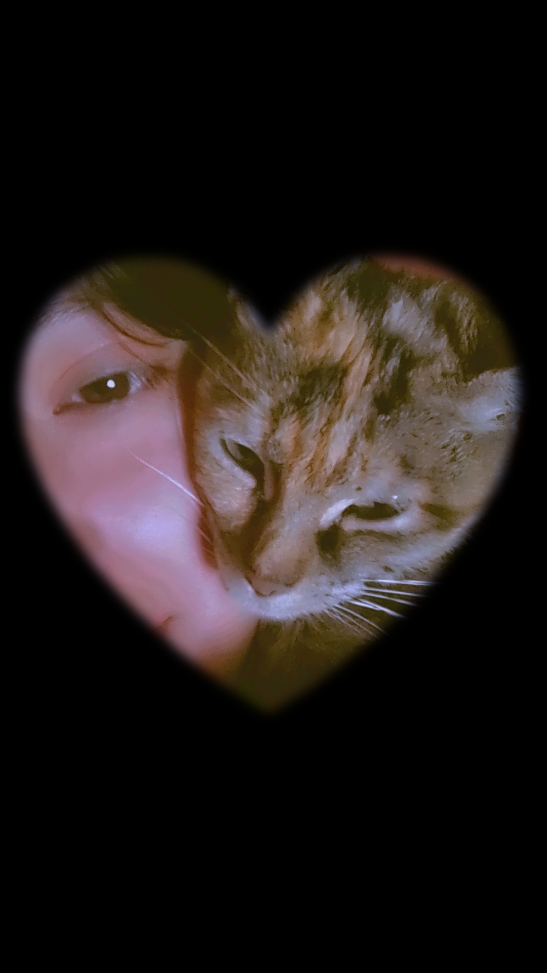 Mochi