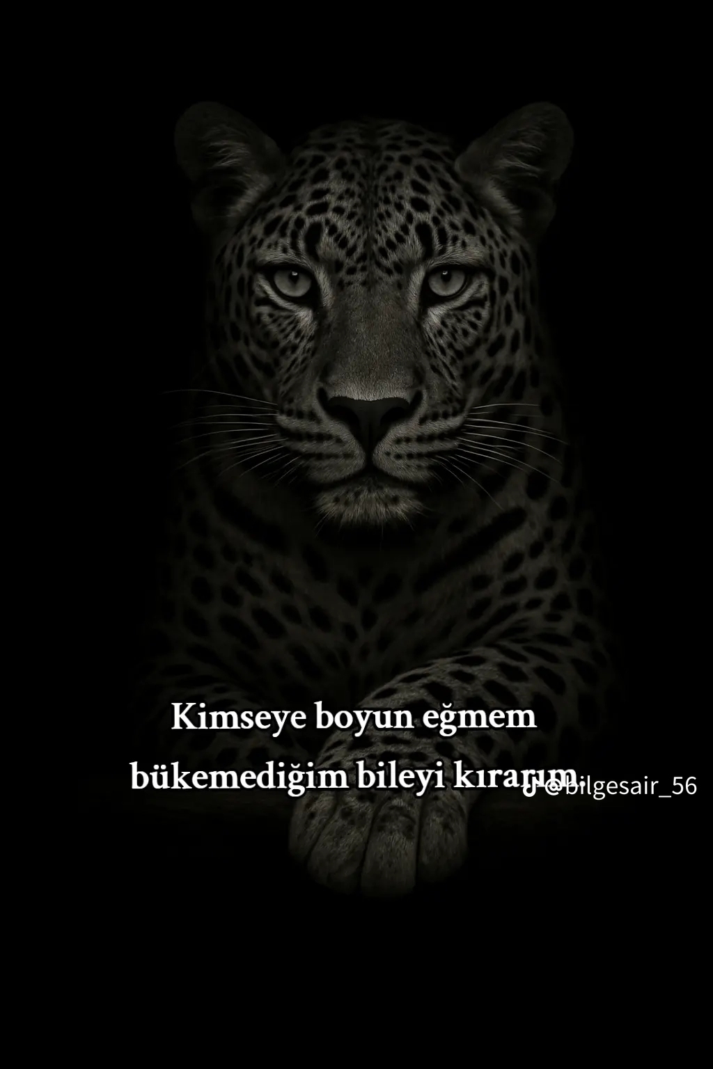 Aytaç