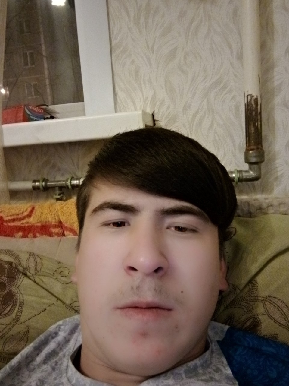 Шодер
