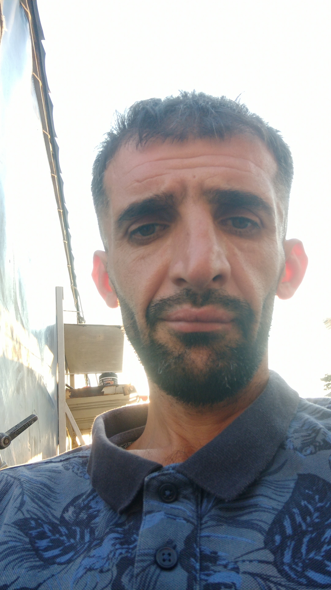 Ardit