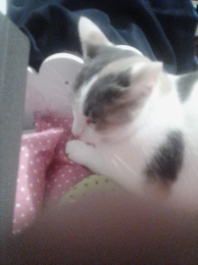 Tinsley