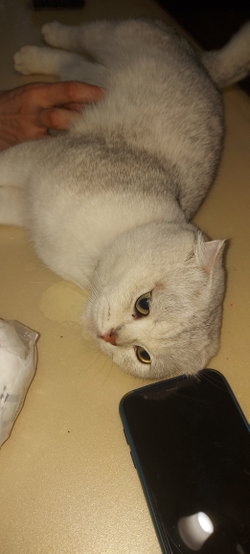 Arzu