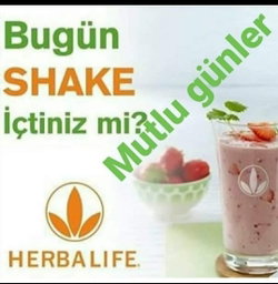 Gülbeyaz