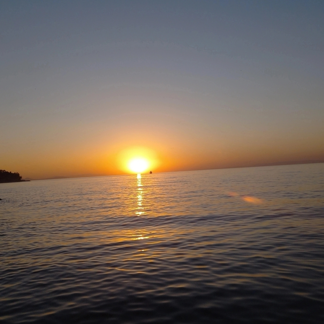 Hasan