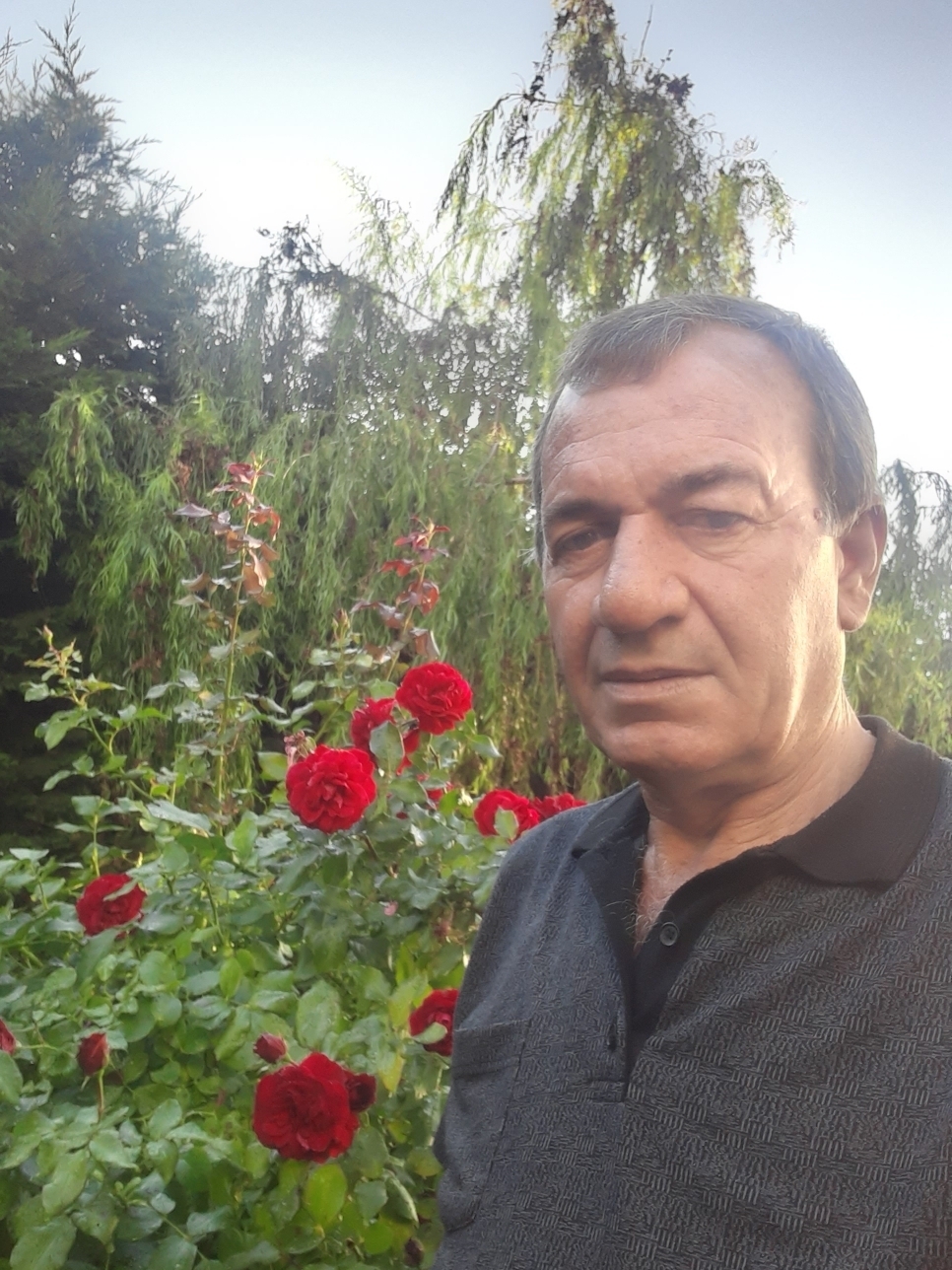 Özcan