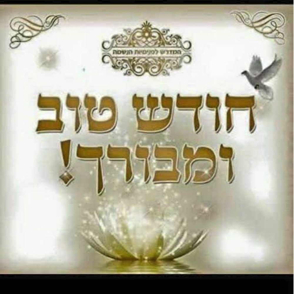 אלי