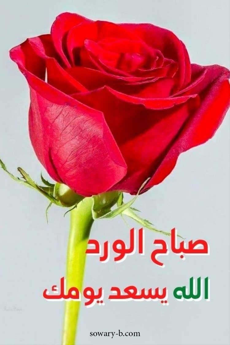 Taha