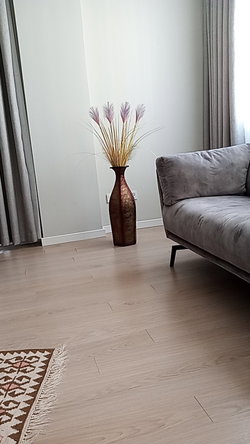 Leyla