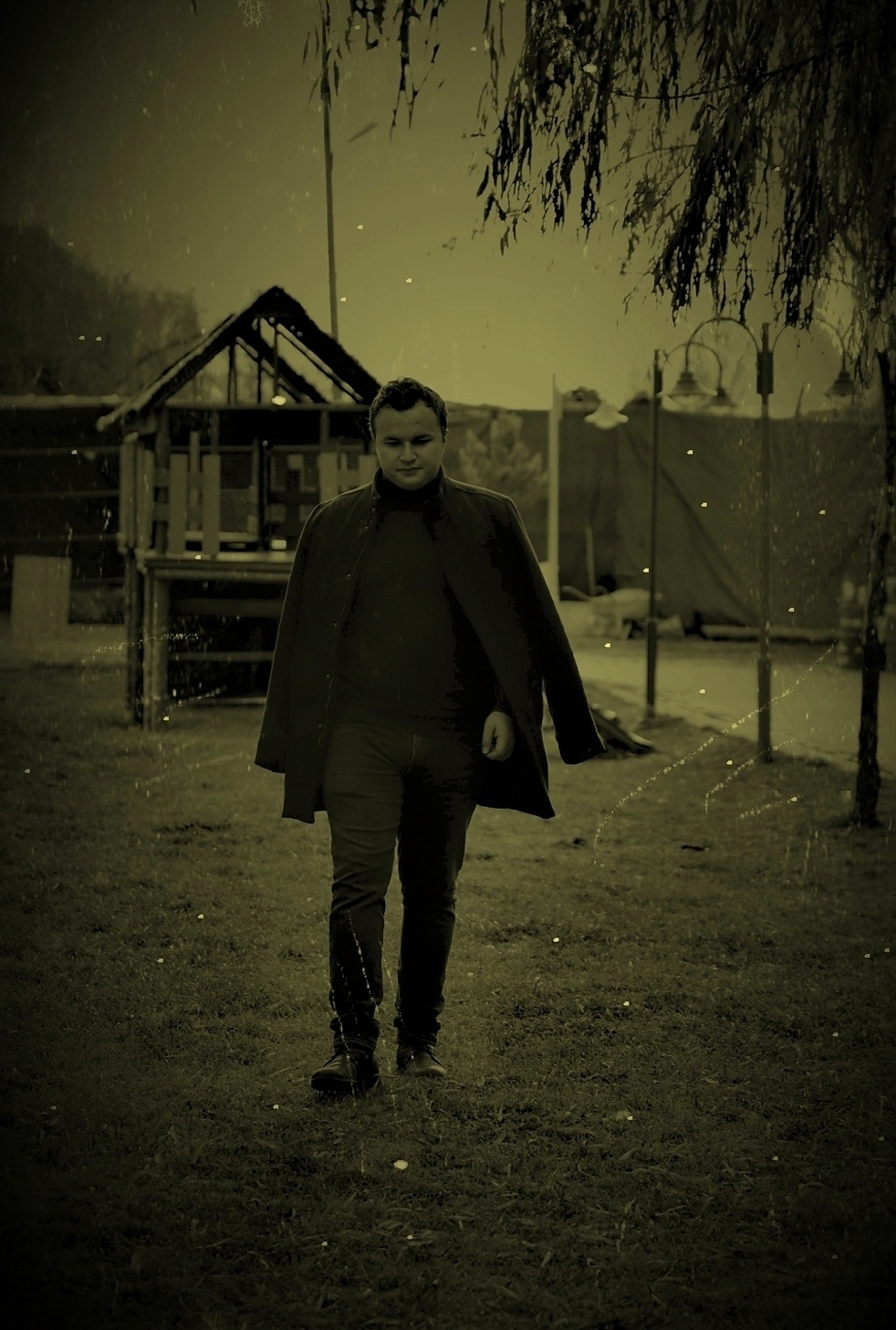 Özgür