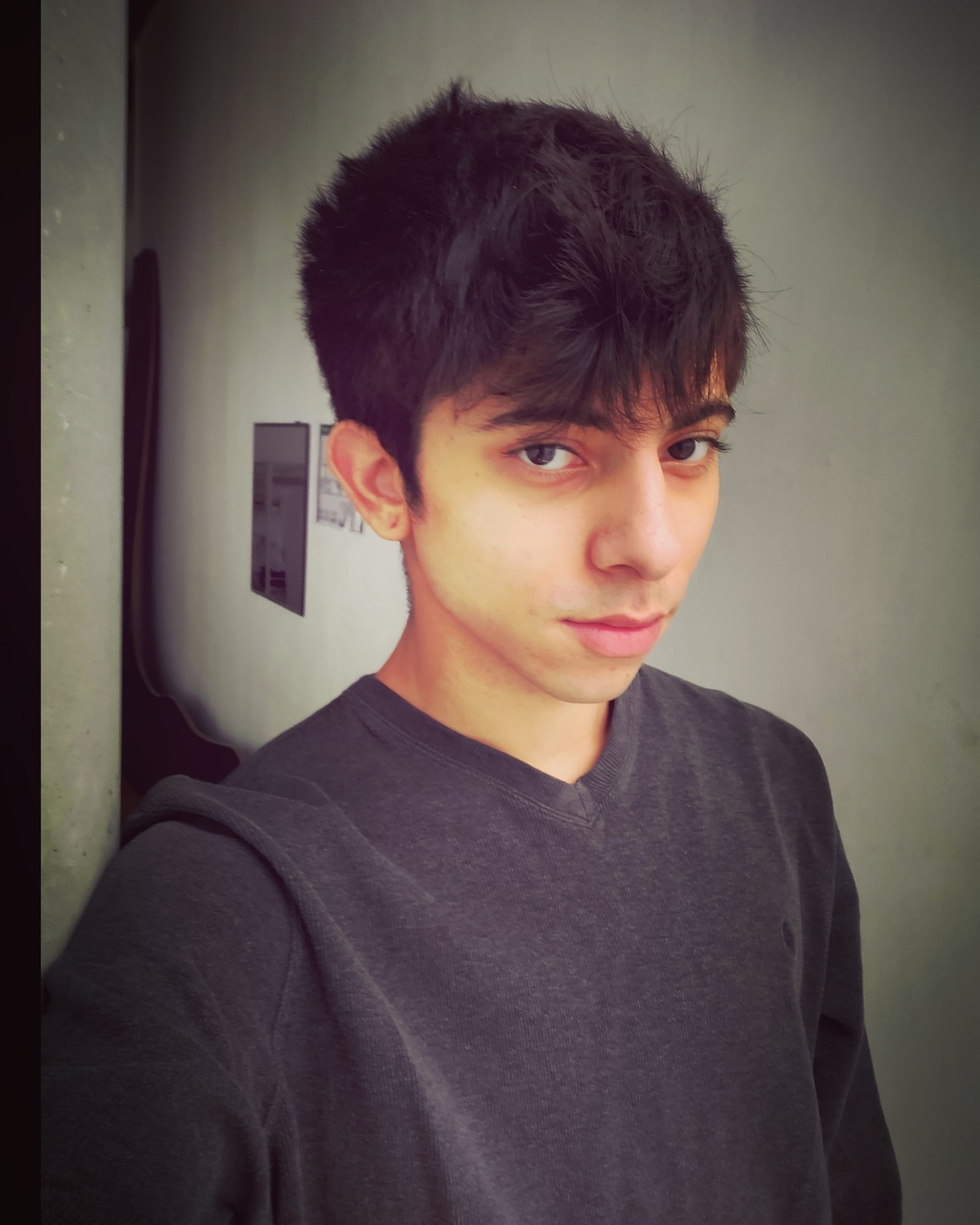 Shibu
