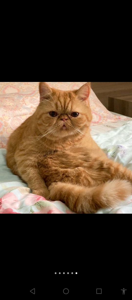 عبده