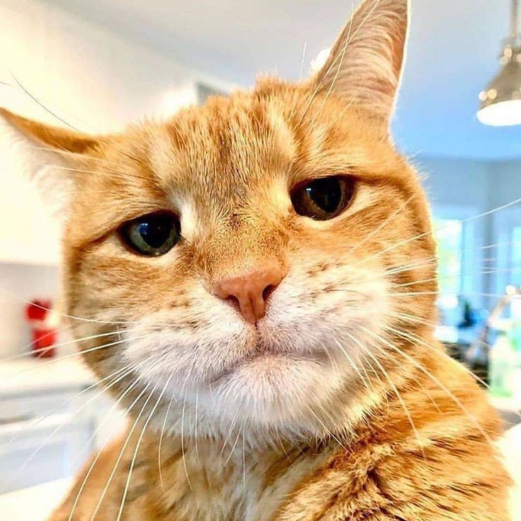 Fred