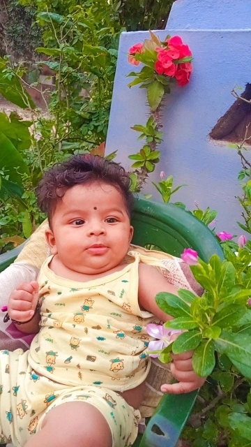 Nikil
