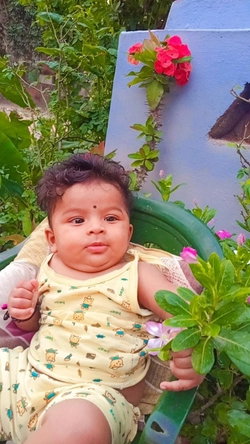 Nikil