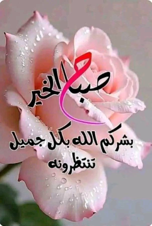 حسام