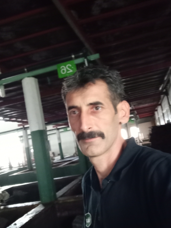 Bülent