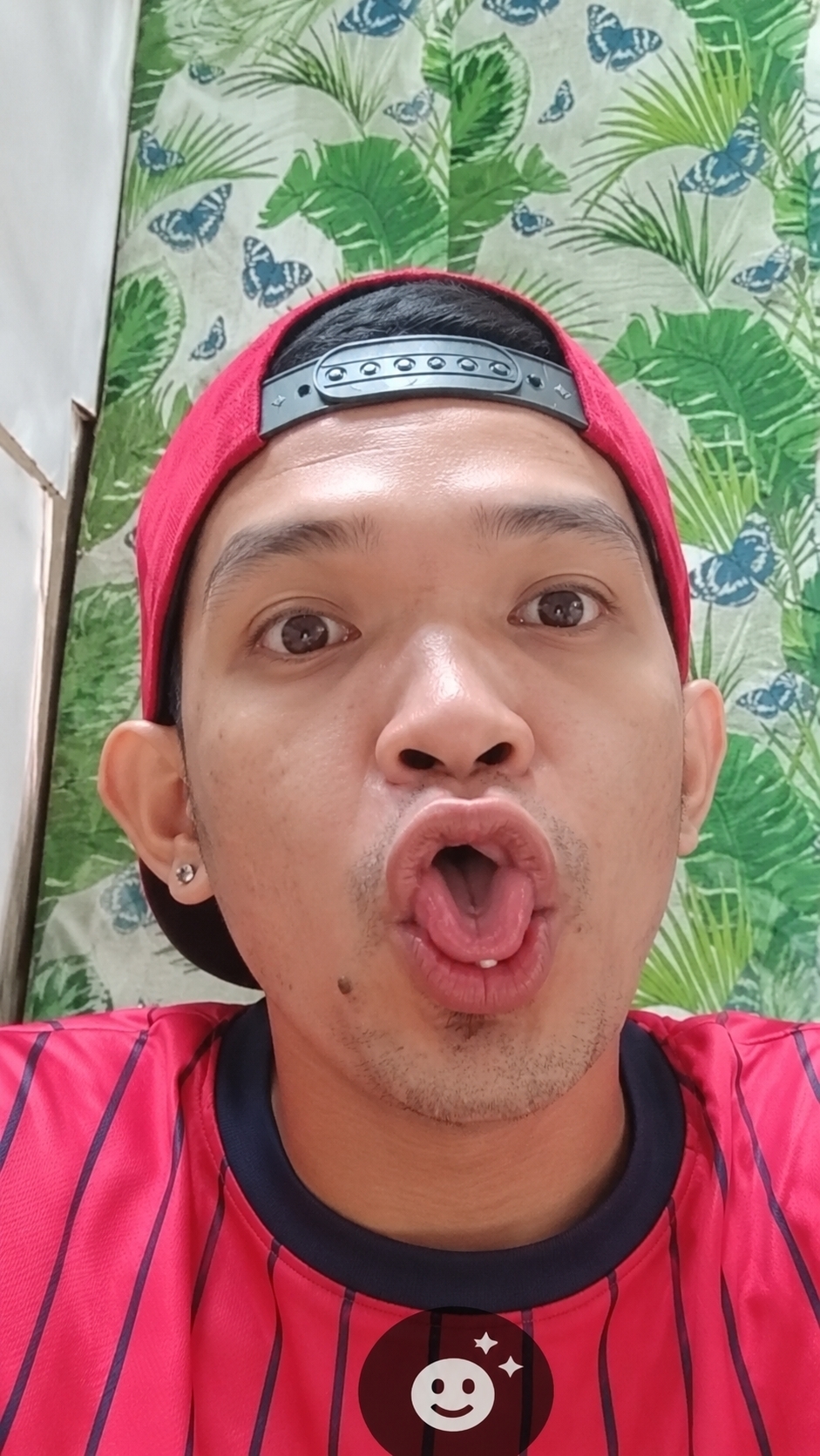 Pedrito