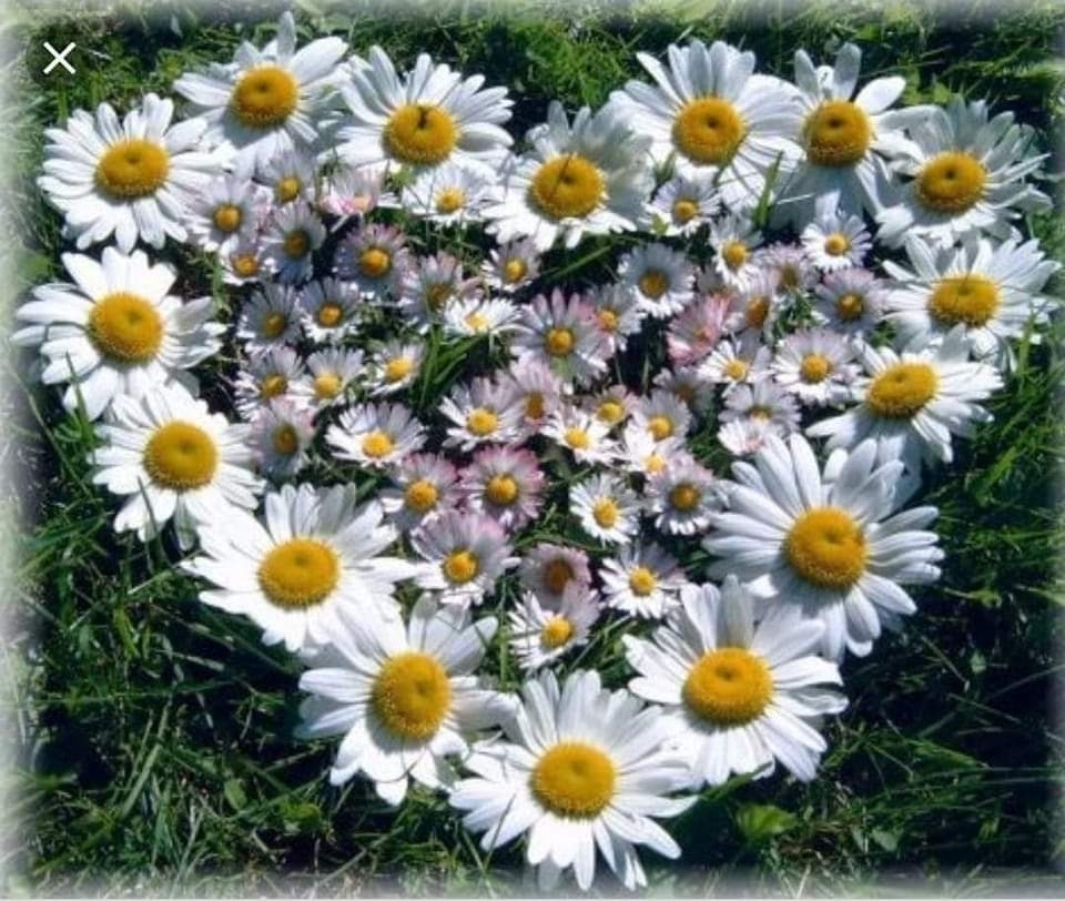 Meryem